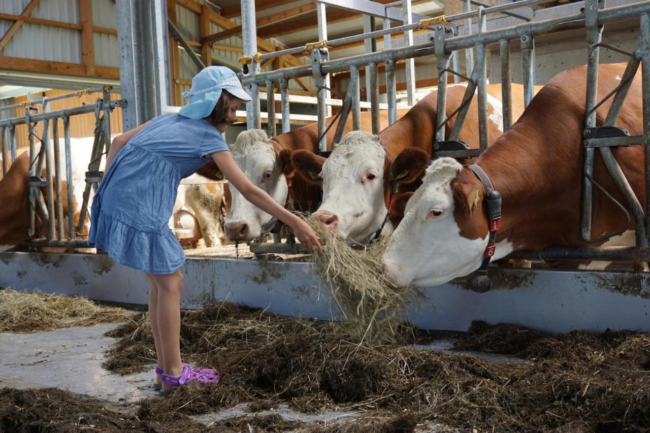 Kinderbauernhof Salmanner Steinbach an der Steyr Екстер'єр фото