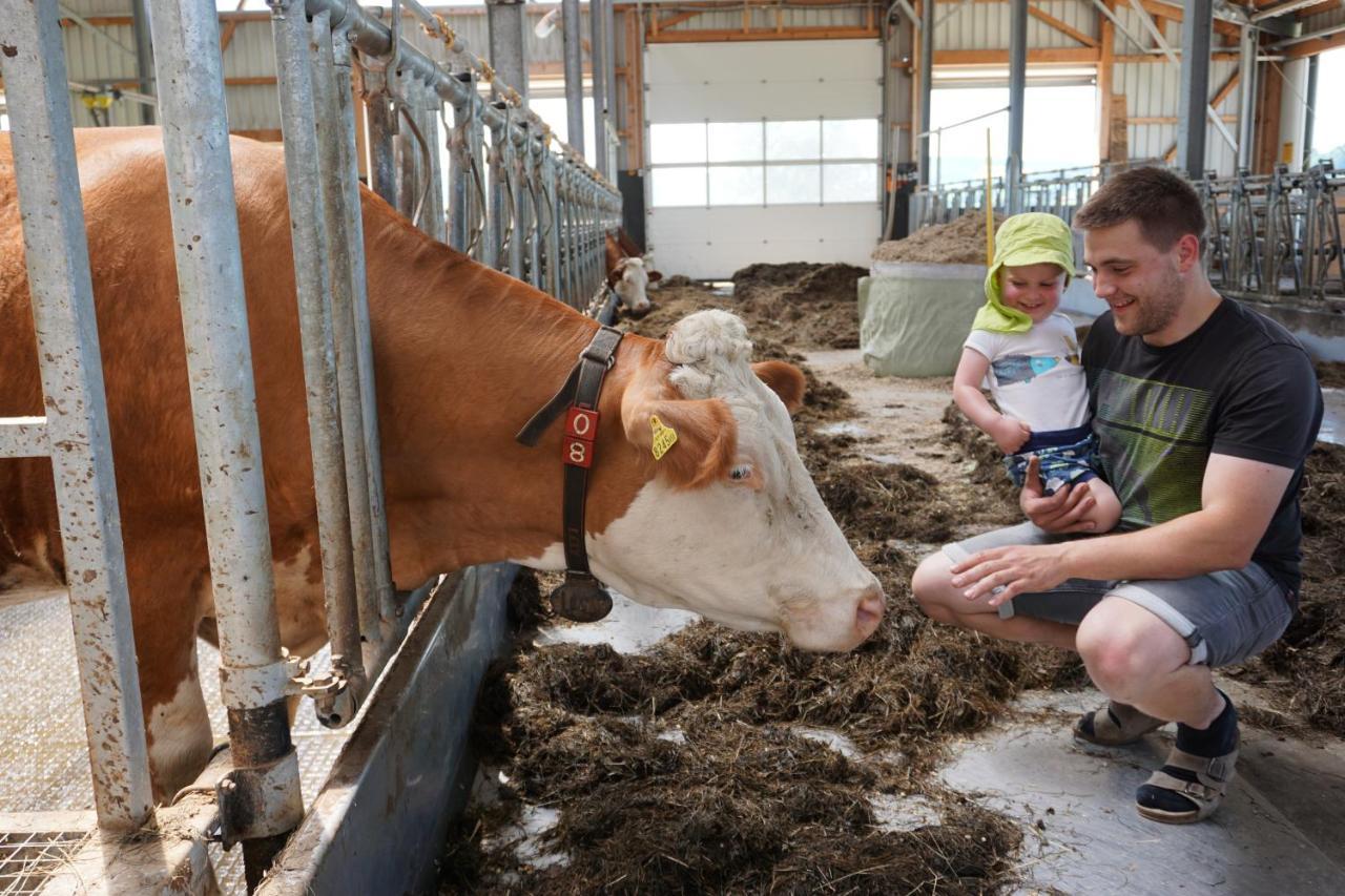 Kinderbauernhof Salmanner Steinbach an der Steyr Екстер'єр фото