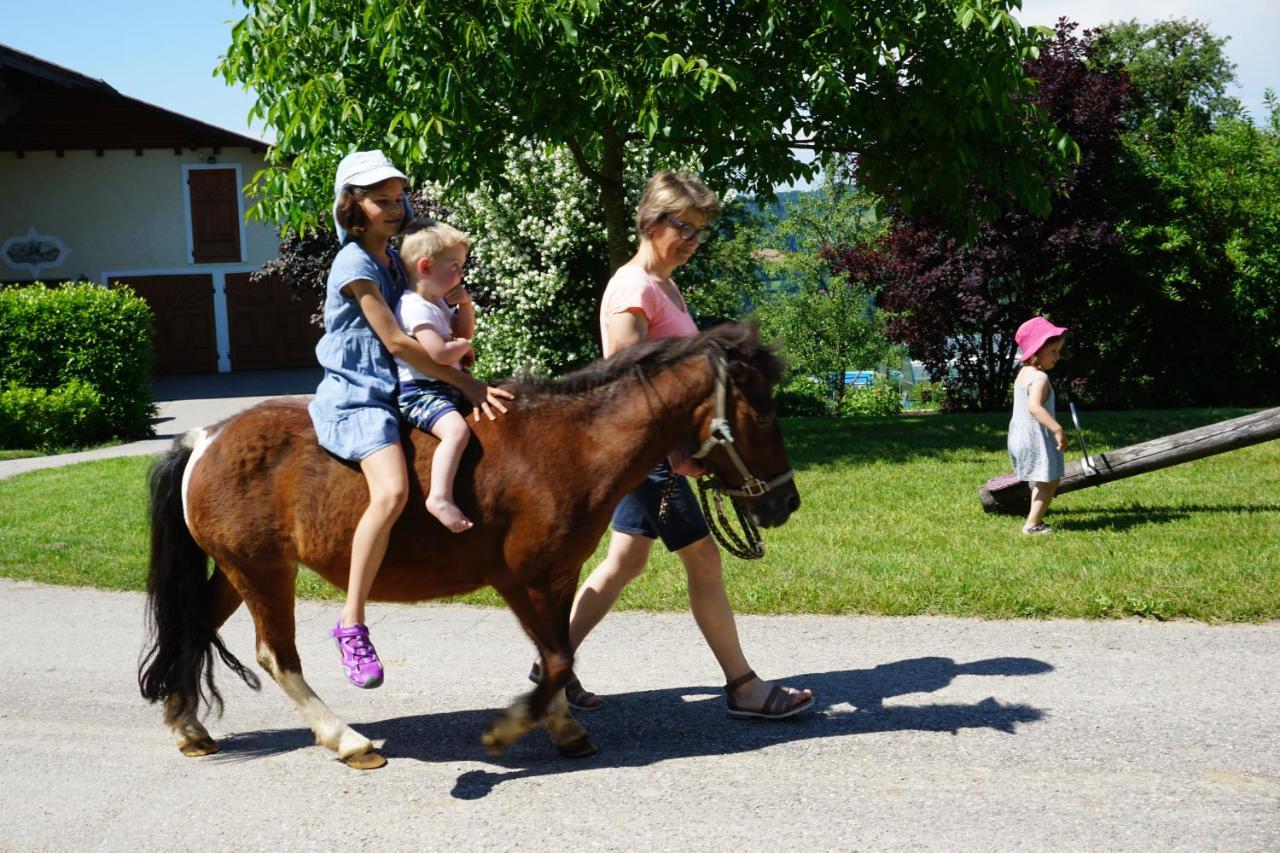 Kinderbauernhof Salmanner Steinbach an der Steyr Екстер'єр фото