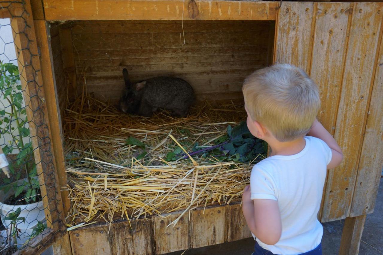 Kinderbauernhof Salmanner Steinbach an der Steyr Екстер'єр фото