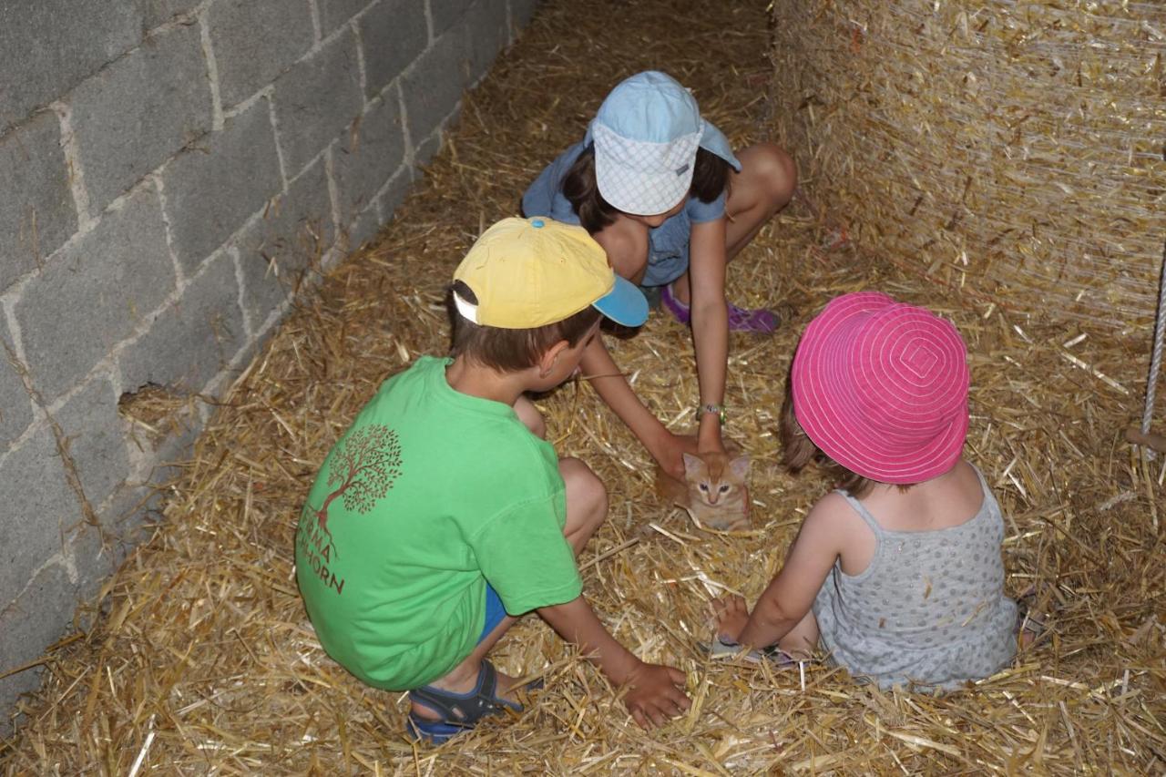 Kinderbauernhof Salmanner Steinbach an der Steyr Екстер'єр фото
