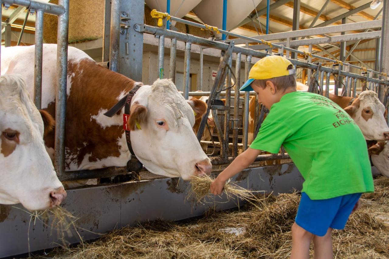 Kinderbauernhof Salmanner Steinbach an der Steyr Екстер'єр фото