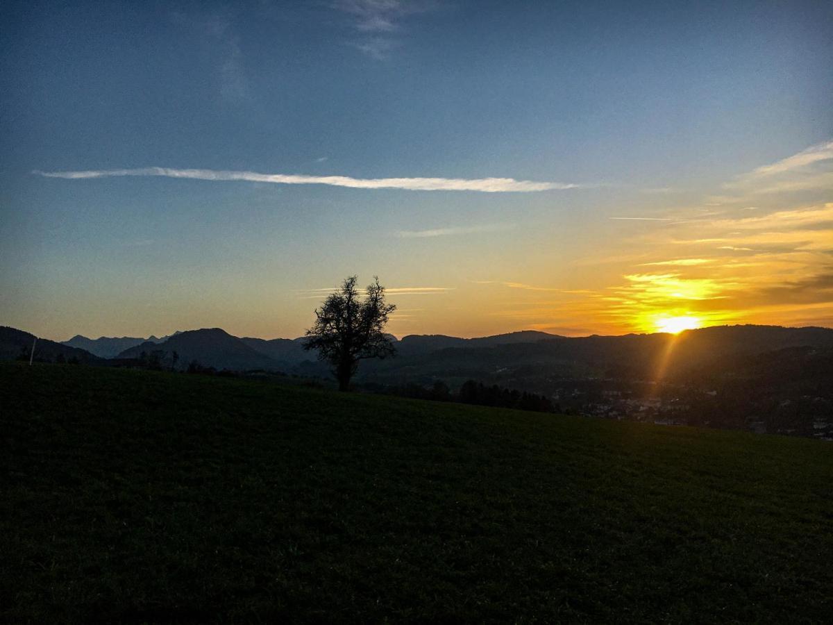 Kinderbauernhof Salmanner Steinbach an der Steyr Екстер'єр фото