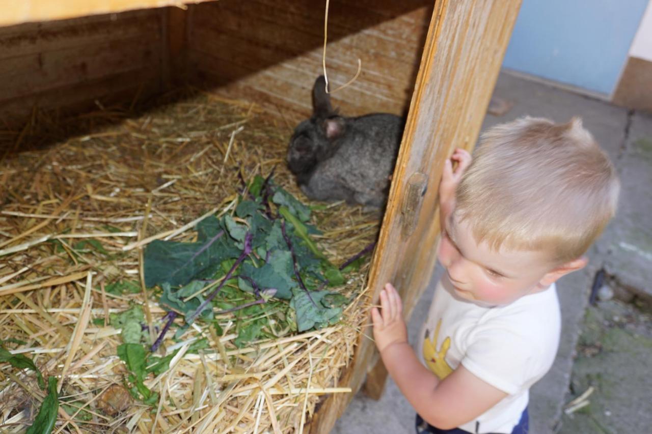 Kinderbauernhof Salmanner Steinbach an der Steyr Екстер'єр фото