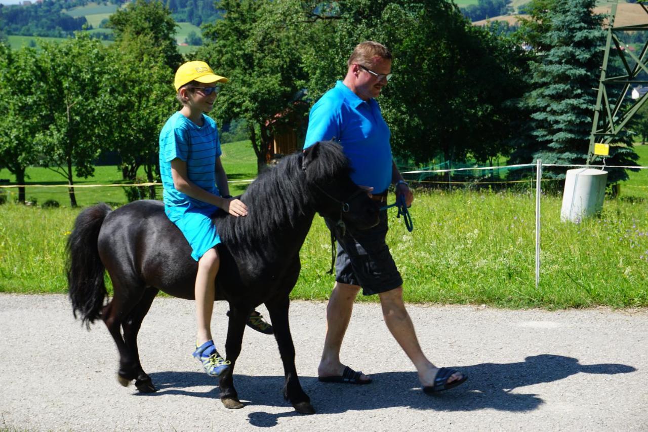 Kinderbauernhof Salmanner Steinbach an der Steyr Екстер'єр фото