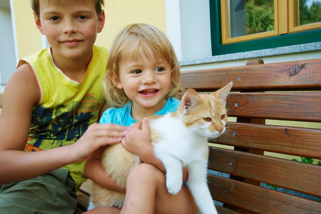 Kinderbauernhof Salmanner Steinbach an der Steyr Екстер'єр фото